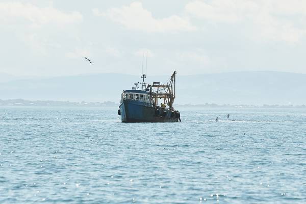 One in five fishermen will be forced to quit without EU policy change – fishing boss