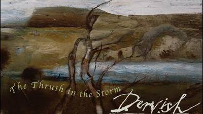 Dervish: The Thrush in the Storm