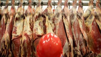 Where’s the beef? ABP cuts deal to sell Irish beef online in China
