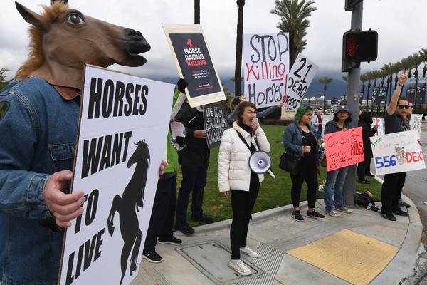 Santa Anita suspends racing after 21 horses die in 10 weeks