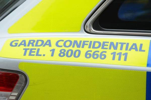 Man (30s) in custody following alleged sexual assault in Dublin