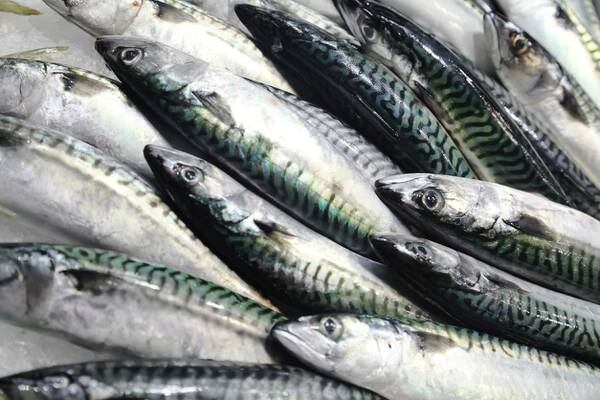 Seafood economy worth €1.3bn last year 