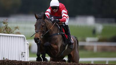 Injury puts Coneygree out of the Gold Cup running