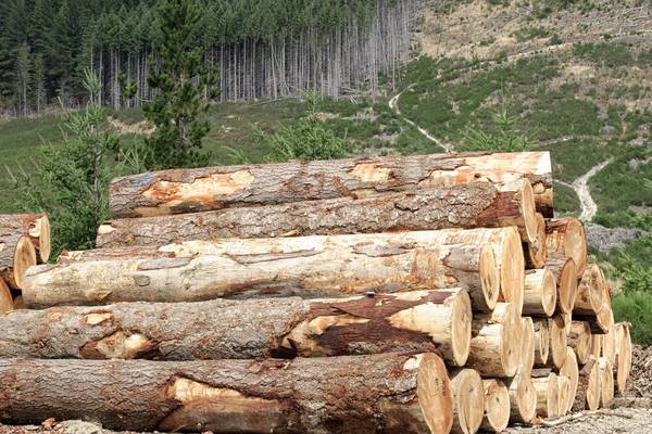 Warnings of jobs losses in forestry and higher timber prices