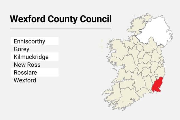 Local Elections: Wexford County Council