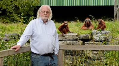 Mr Dublin Zoo: ‘I see things no one else sees. It’s magical’