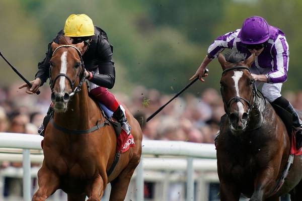 Stradivarius hits perfect note on return to action at York