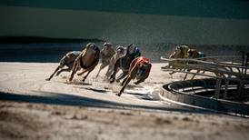 Call for ‘white list’ of countries for export of Irish greyhounds