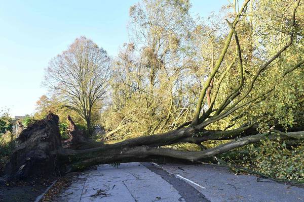Storm Ophelia transport disruption: Roads and Luas worst hit