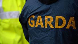 Gardaí found ‘incompetent’ burglar on supermarket roof