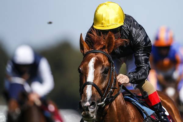 Stradivarius to strike the right note in Goodwood Cup