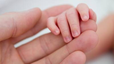 Proposed law to enable adopted people to access birth data