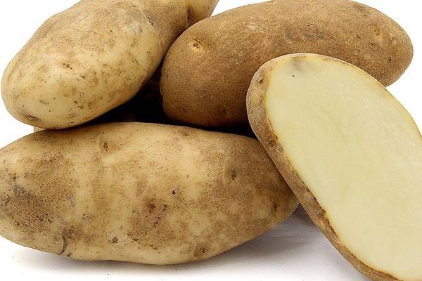 Irish potato industry could be mashed by Brexit seed ban, Minister told