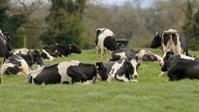 Farmers need the right incentives to reduce emissions