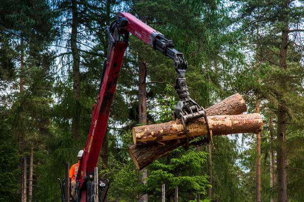 Farmers and foresters demand action on timber crisis