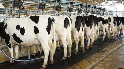 Dairy co-op Aurivo reports strong year despite ongoing pandemic