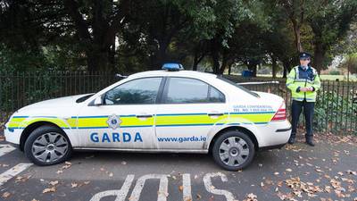 Man arrested after couple injured in Offaly shooting