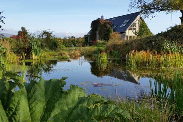 Innovative, affordable, sustainable: great Irish eco-homes