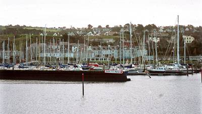 Developer lobbies to rezone Howth Castle land for housing