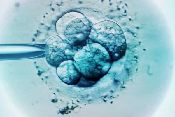 Canadian IVF doctor who used his own sperm loses licence