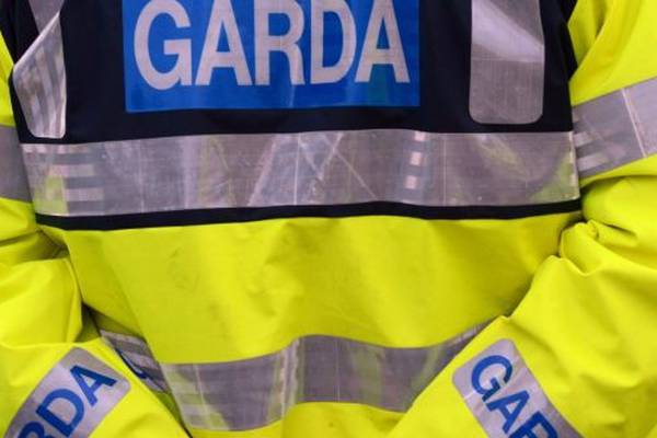 Two men arrested over burglary of home of woman (83) in Cork