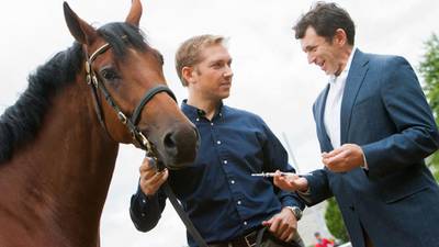 Sligo start-up develops handheld blood test device for horses