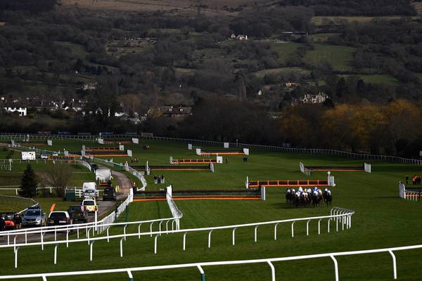 Open minds advised in review of Cheltenham fatalities