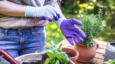 Good gardening gear: How to avoid damp bottoms and cold backs