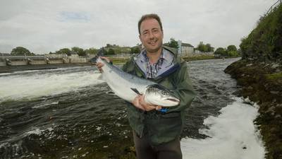 Salmon are running and travelling and fine fish are there to be landed