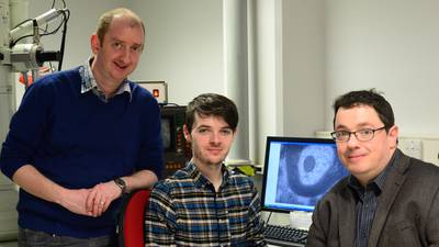 Scientists in Cork uncover link between gut microbes and nerves