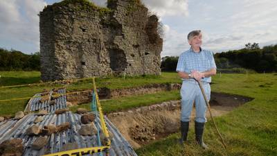 Falling window leads to big archaeological find