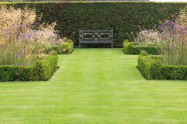 Lawn order: How to get your garden grass back to glory after winter