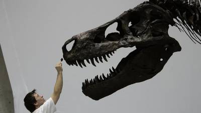 Latest technology challenges  beliefs about dinosaurs