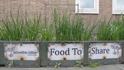 Guerrilla gardening in Yorkshire reclaims the streets – in a nutrious way