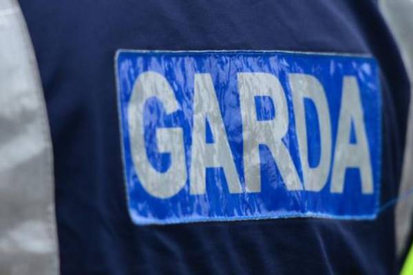 Man (20s) dies in Limerick crash