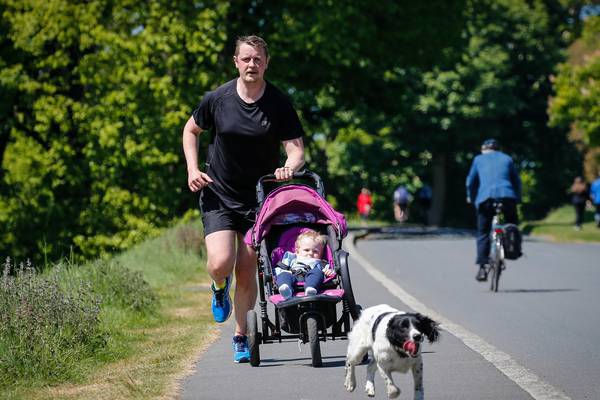 Una Mullally: Reverse return of the car to Phoenix Park as a matter of urgency