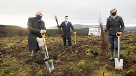 Aldi Ireland to plant 1m native Irish woodland trees by 2025