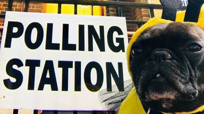 #dogsatpollingstations leads the way in UK election