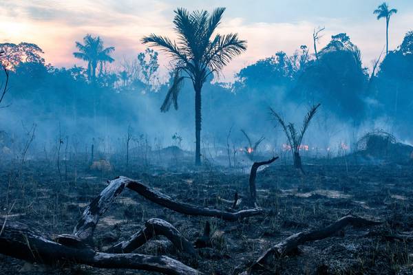 Amazon rainforest ‘dieback’ may be approaching tipping point, scientists warn