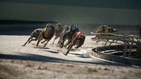 Greyhound welfare must come first if industry to retain State funding, Creed warns