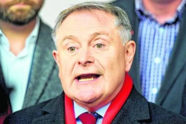 Labour councillors express support for leader Brendan Howlin