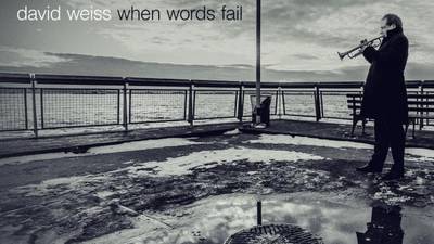 David Weiss: When Words Fail