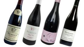 Bourgogne Pinot Noir: The perfect food wine