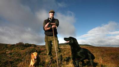 Irish lives: Guarding the red grouse on Boleybrack mountain