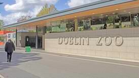Dublin Zoo rejects claims it paid for hot tub, sauna for director’s lodge while ‘begging for funds’