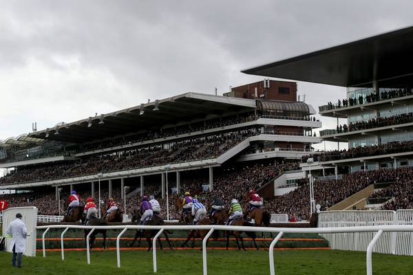Cheltenham set to lose £15m in ticket sales alone without spectators
