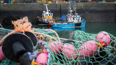 Fishermen fear London will deny North fair share of extra fish Brexit quota
