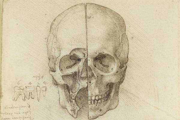 Art in Focus: Leonardo da Vinci – The skull sectioned