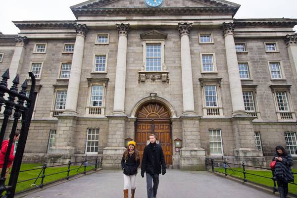 Trinity College plans wildflower meadow on College Green