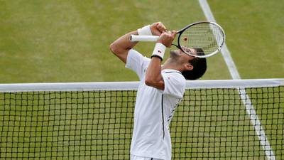 Djokovic eases into Wimbledon semis